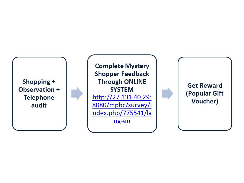 Mystery Shopper Programme